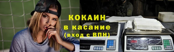 дмт Алексин