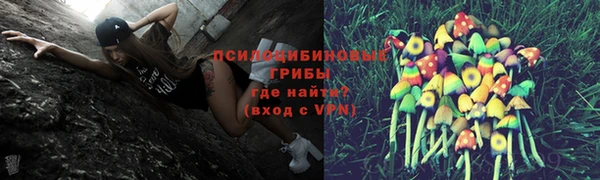 дмт Алексин
