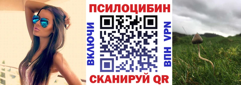 mega ссылки  закладка  Адыгейск  Псилоцибиновые грибы Psilocybine cubensis 