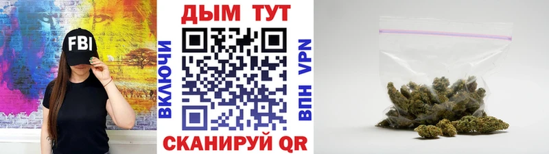 Шишки марихуана семена купить наркотик Адыгейск